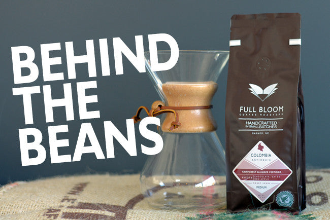 Behind the Beans: Colombia Antioquia
