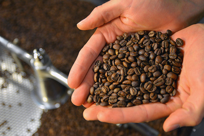 Now Pouring: Costa Rica Tarrazu Honey Process
